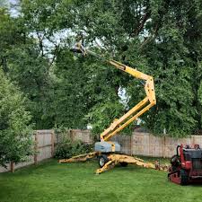 Best Stump Grinding and Removal  in Central City, NE
